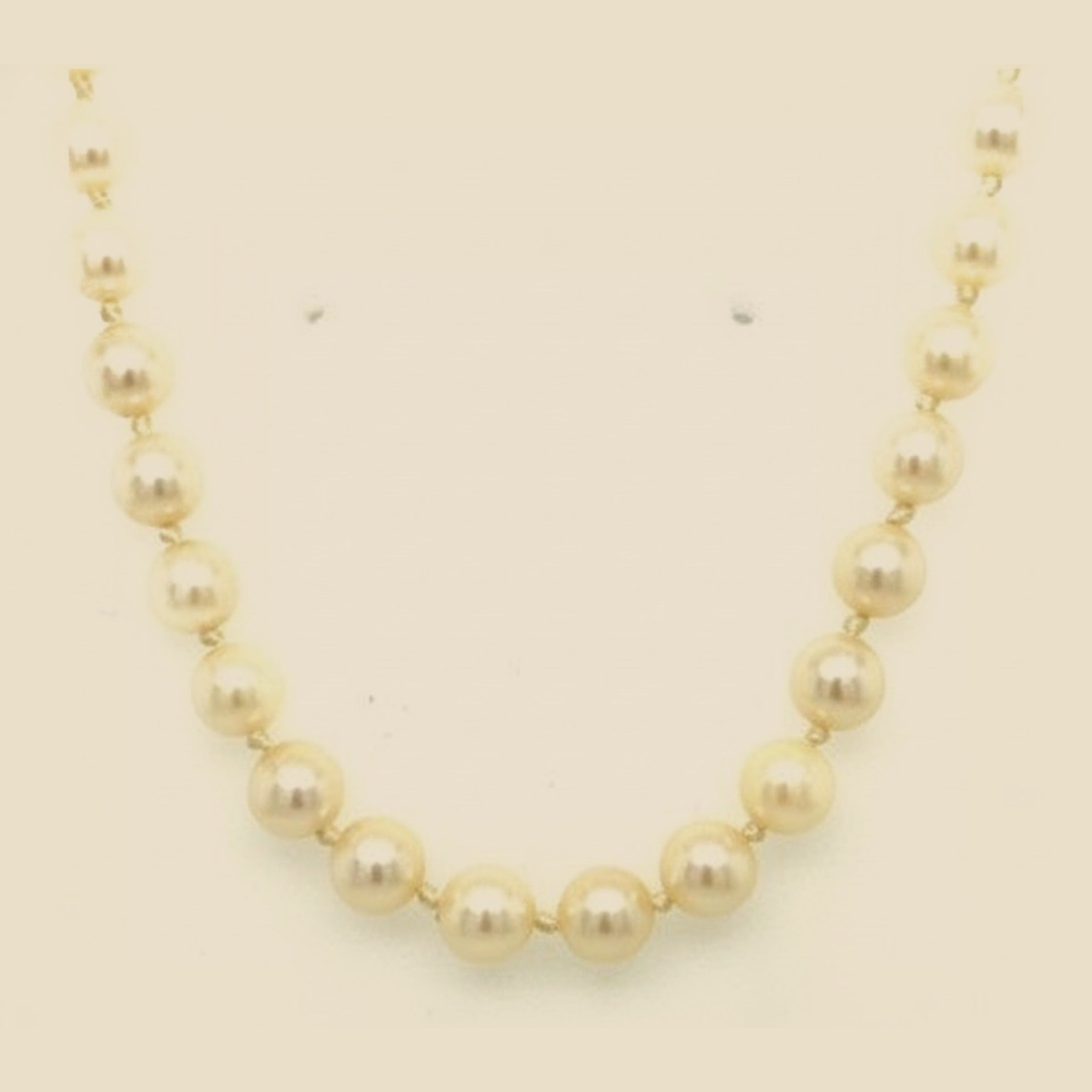 Single Strand Cultured Pearl Necklace – Empire Diamond